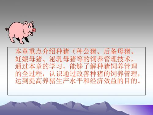 种猪生产概述(PPT 64张)