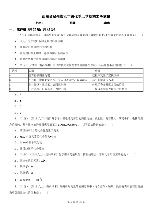山东省滨州市九年级化学上学期期末考试题