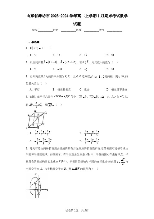 山东省潍坊市2023-2024学年高二上学期1月期末考试数学试题