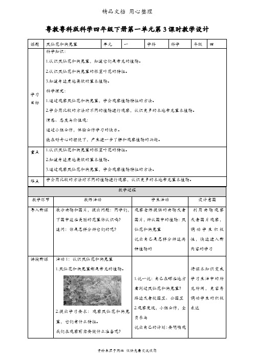 (新教材)粤教粤科版四年级下册科学 第3课 凤仙花和狗尾草 教案(教学设计)