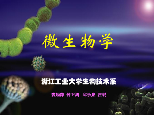 第七章 微生物的生长及其控制 第三节 影响微生物生长的主要因素