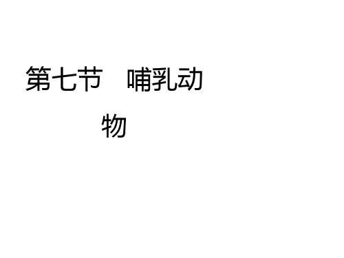 八年级生物上册 5.1.7 哺乳动物教学课件 (新版)新人教