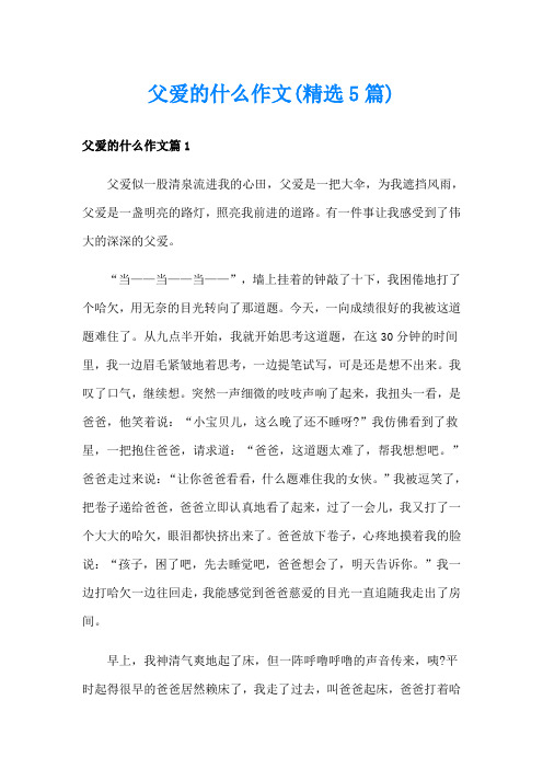 父爱的什么作文(精选5篇)