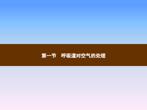 人教版七年级生物下册教学课件第三章人体的呼吸