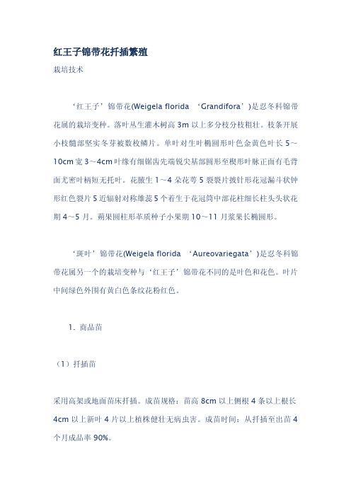 红王子锦带花扦插繁殖.