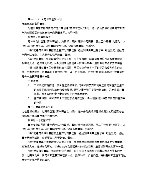 青年突击队工作计划(共10篇)