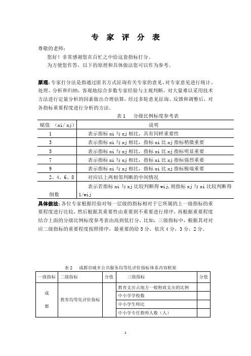 公共服务专家打分表