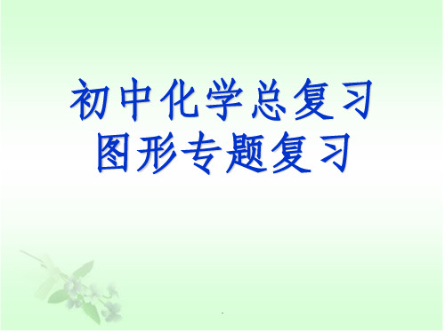 初中化学图像专题复习ppt课件