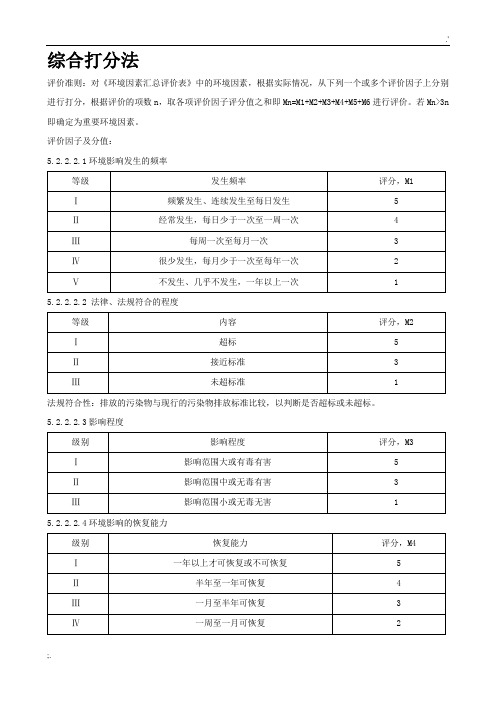 重要环境因素综合打分法