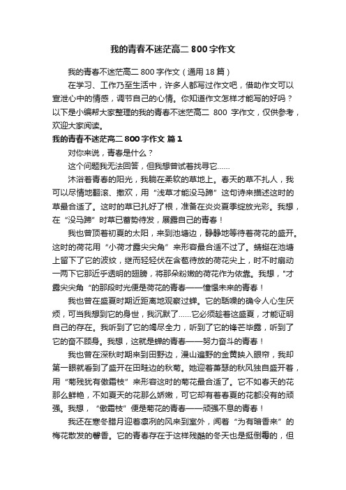 我的青春不迷茫高二800字作文（通用18篇）