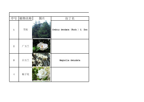 福州常见植物名录