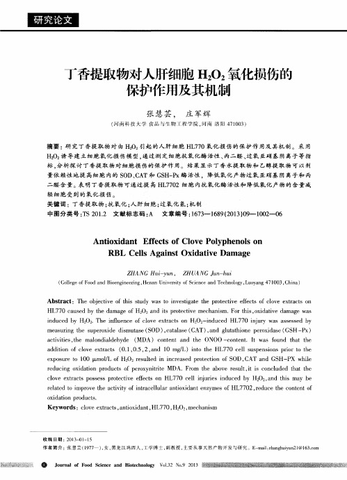 丁香提取物对人肝细胞H2O2氧化损伤的保护作用及其机制