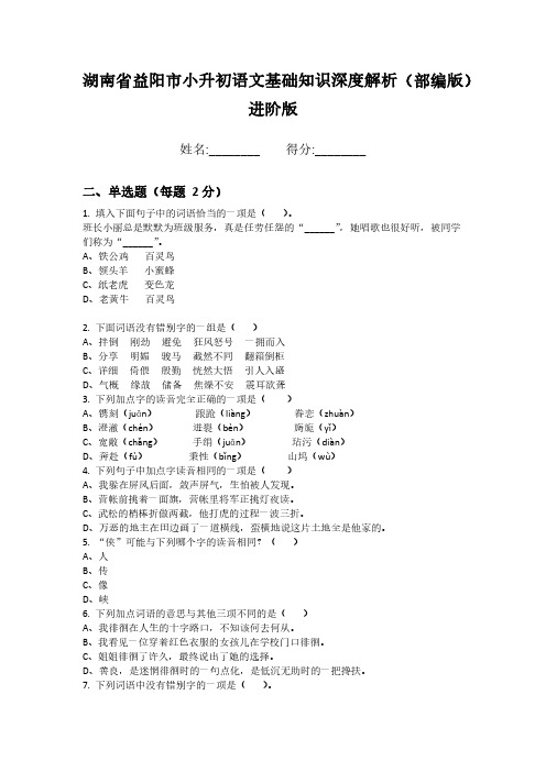 湖南省益阳市小升初语文基础知识深度解析(部编版)进阶版