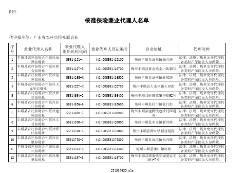 核准保险兼业代理人名单 - 中国保险监督管理委员会  首页