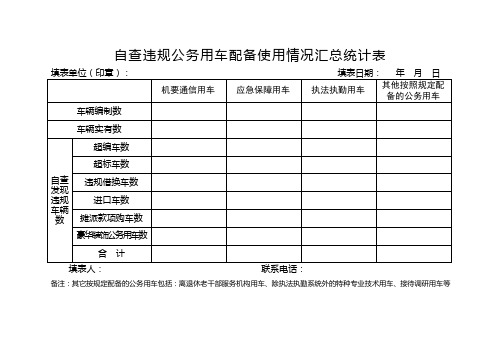 自查违规公务用车配备使用情况汇总统计表