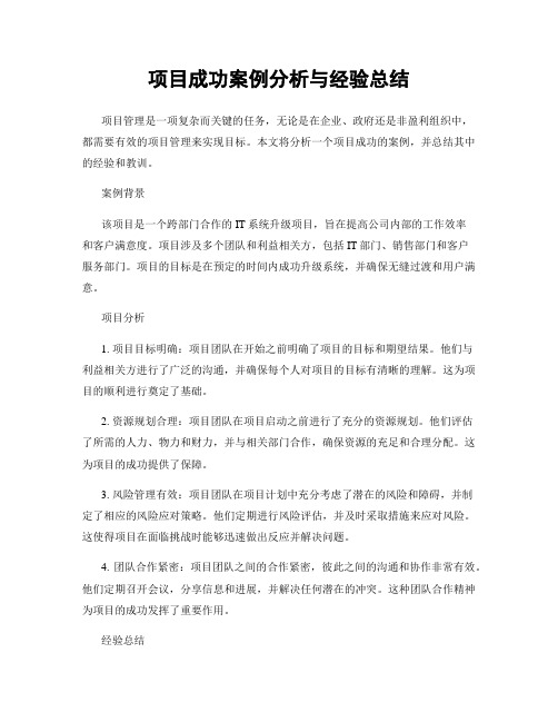 项目成功案例分析与经验总结