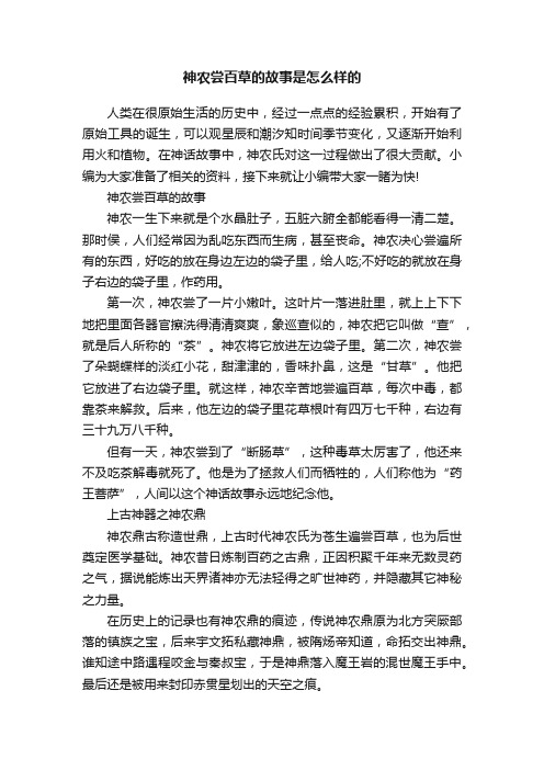 神农尝百草的故事是怎么样的