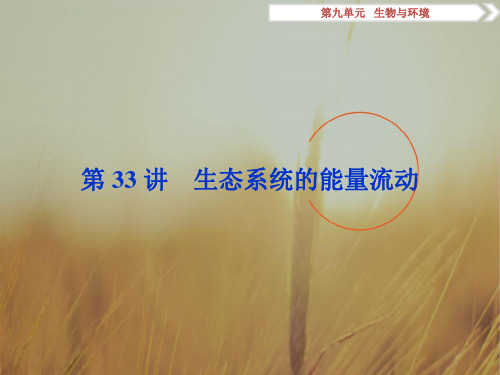 卓越学案2018高考生物一轮总复习课件:第9单元生物与环境 第33讲