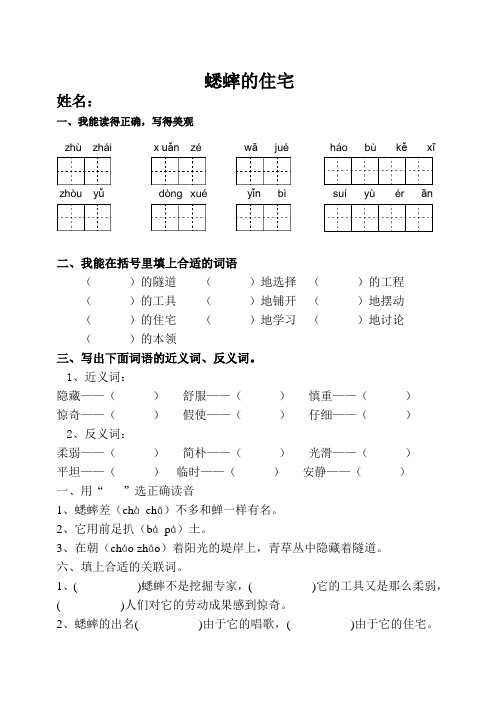 蟋蟀的住宅精品练习