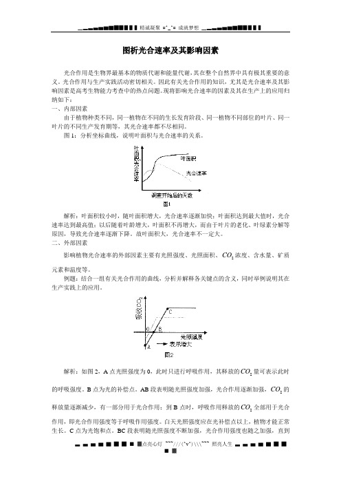 图析光合速率及其影响因素[特约]