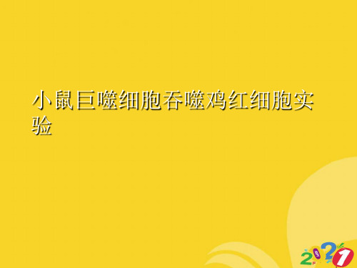 小鼠巨噬细胞吞噬鸡红细胞实验专业资料