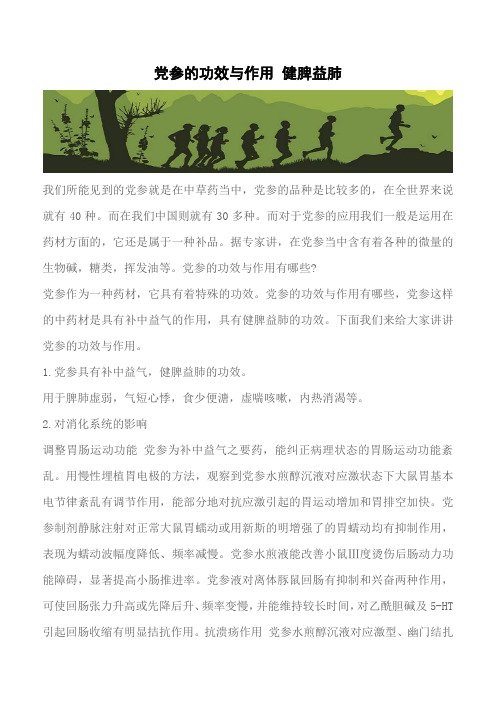 【推荐】党参的功效与作用 健脾益肺
