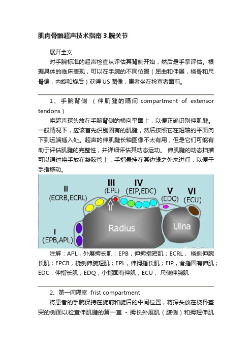 肌肉骨骼超声技术指南3.腕关节