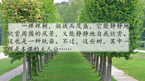 三年级下册语文课件我变成了一棵树人教部编版〔优秀PPT〕