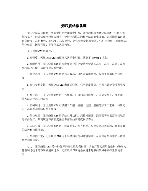 无压烧结碳化硼