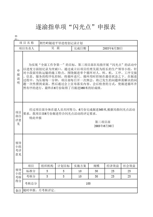 遂渝指单项闪光点申报表