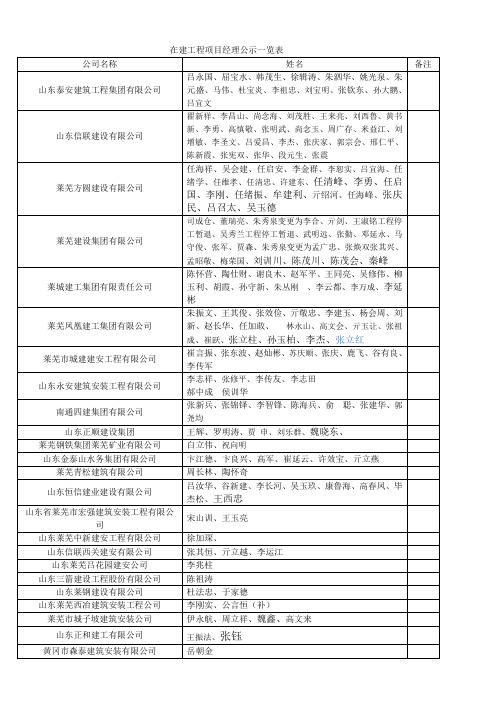 在建工程项目经理公示一览表