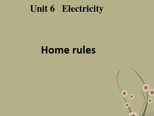 Unit 6 Electricity Writing 同步课件(牛津版七年级下)