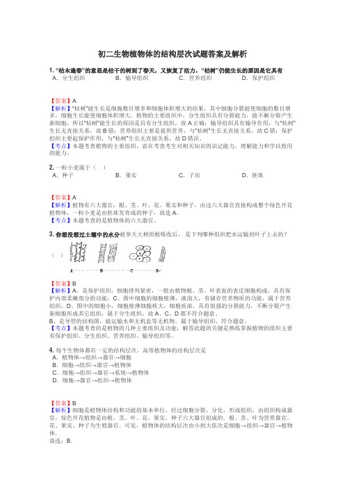 初二生物植物体的结构层次试题答案及解析
