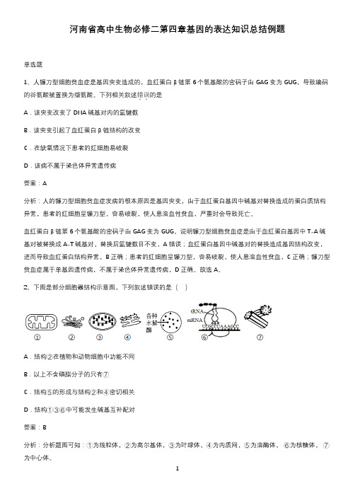 河南省高中生物必修二第四章基因的表达知识总结例题