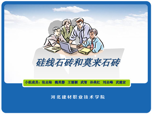 硅线石砖和莫来石砖