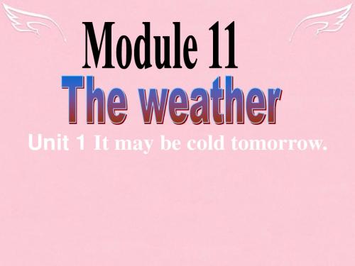 八年级英语下册 Module 11 Unit 1 It may be cold tomorrow精品课件 外研版