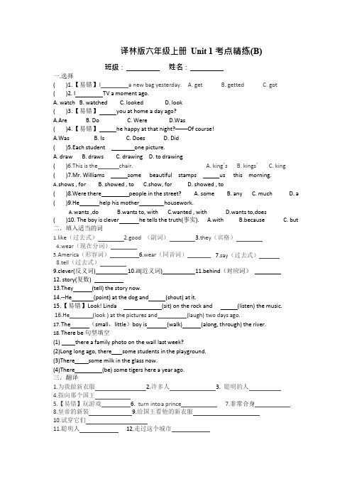 译林版六年级上册 Unit 1考点精练(B)