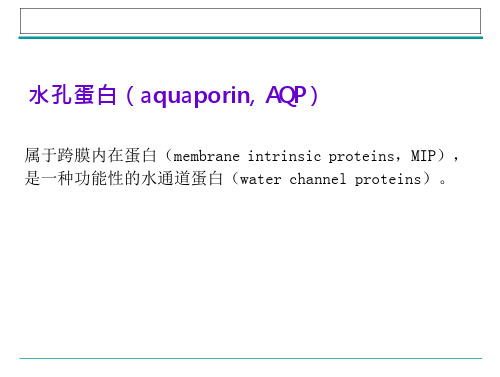 植物逆境生理水孔蛋白