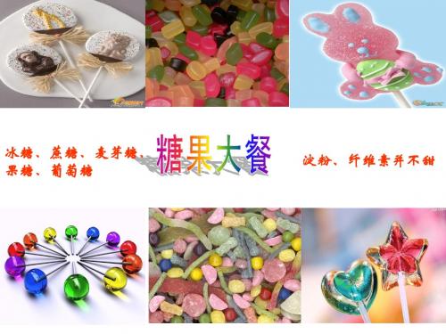 2.4 细胞中的糖类和脂肪