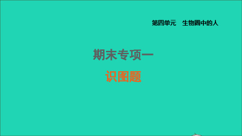 七年级生物上册期末专项一识图题课件鲁科版五四制