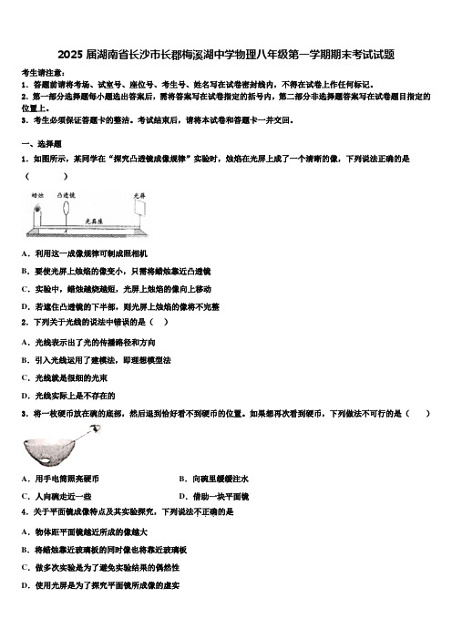 2025届湖南省长沙市长郡梅溪湖中学物理八年级第一学期期末考试试题含解析