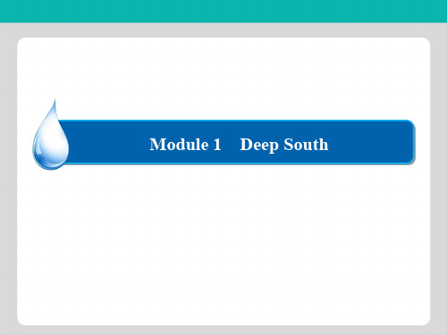 2018-2019学年高中外研版英语选修八课件Module 1 Deep South1-1