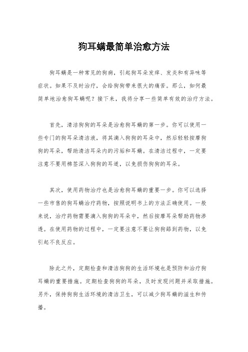 狗耳螨最简单治愈方法