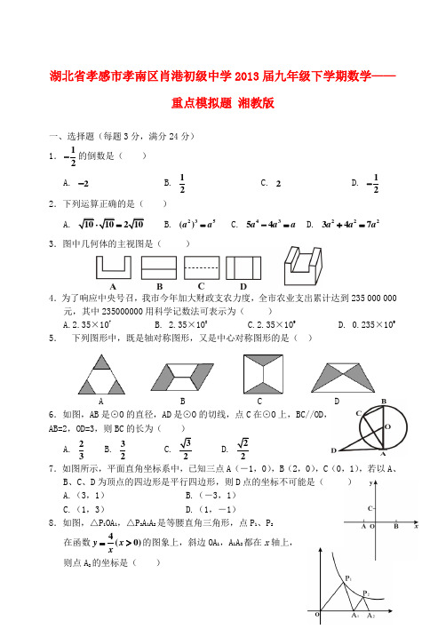 湖北省孝感市孝南区肖港初级中学九年级数学下学期重点模拟题(无答案) 湘教版