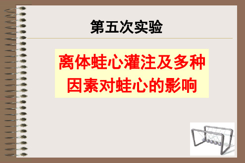 离体蛙心灌注及多种因素对蛙心的影响