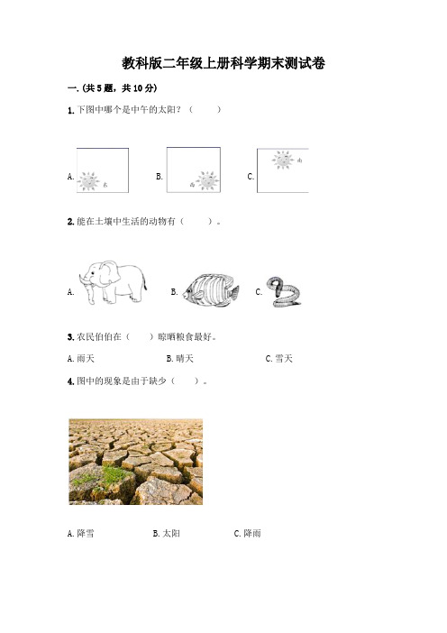 教科版二年级上册科学期末测试卷AB卷