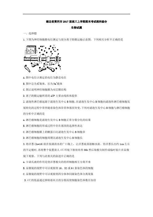 湖北省黄冈市2017届高三上学期期末考试理科综合生物试题 Word版含答案