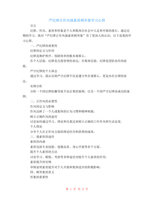 严纪律正作风强素质树形象学习心得