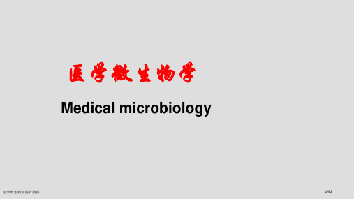 医学微生物学肠杆菌科