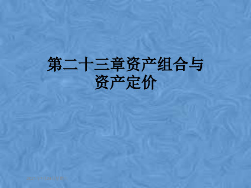 第二十三章资产组合与资产定价